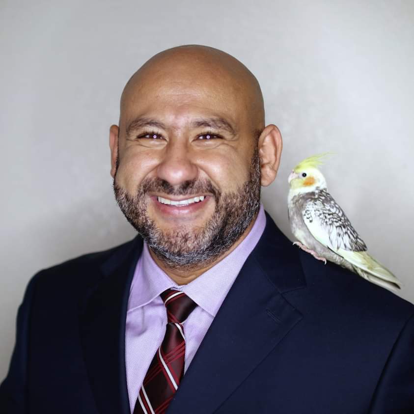 Dr. Tarek Aly - DSO Builder and Dental Consultant